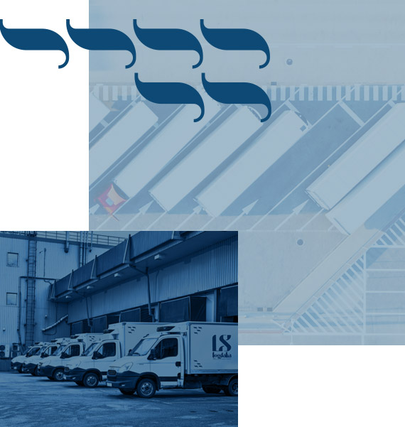 Logitalia - chi siamo